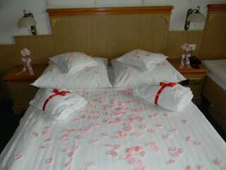 Апарт-отели Kompleks Olimpia Lux Resort & SPA Щирк Двухместный номер с 1 кроватью или 2 отдельными кроватями и пакетом спа-услуг-9